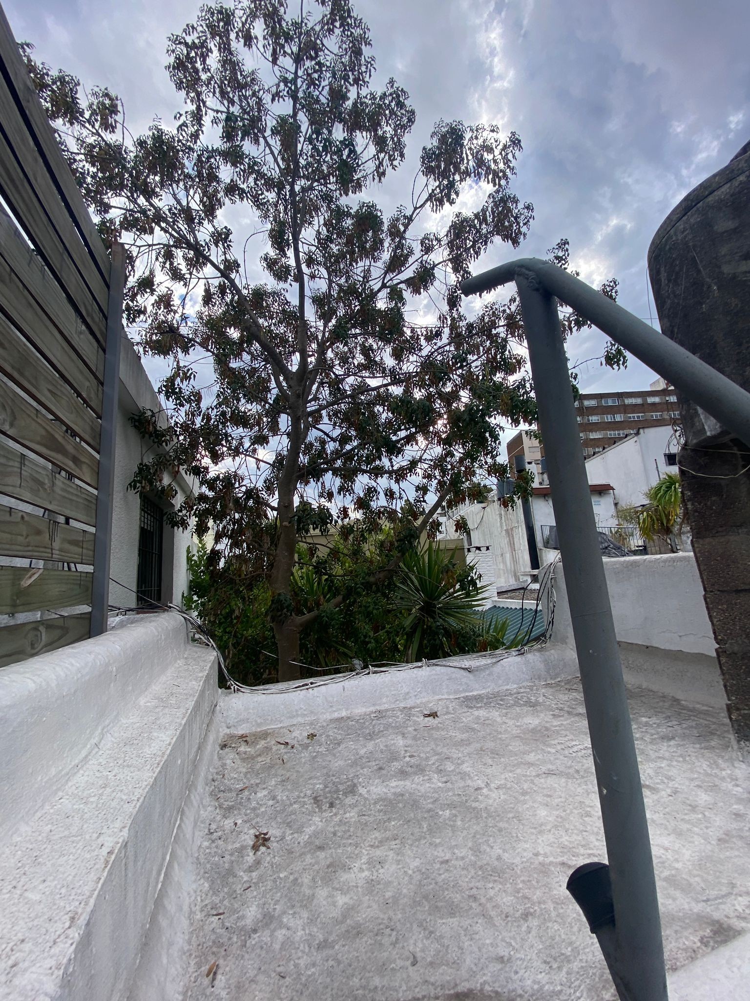 Apartamento de 2 dormitorios y patio a pasos de Av Rivera - Pocitos! - Principal