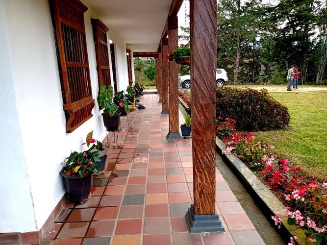 Finca en venta en Los Pinos, Rionegro, 15380 m² · foto 3 de 19