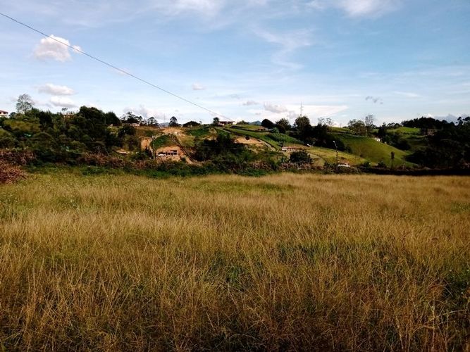 Finca en venta en Los Pinos, Rionegro, 15380 m² · foto 10 de 19