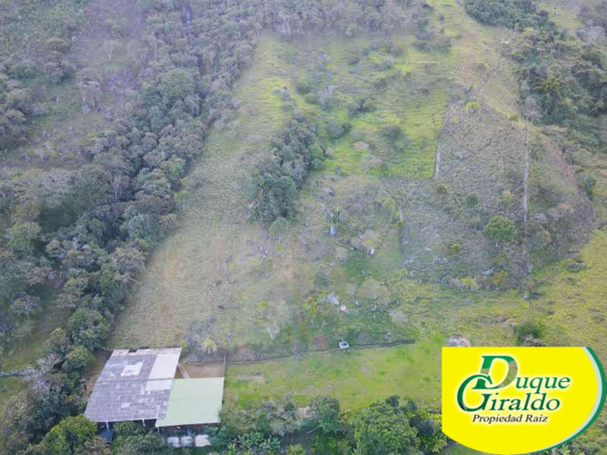 Finca en venta en Zarzal Curzao, Copacabana, 250 m² · foto 5 de 24