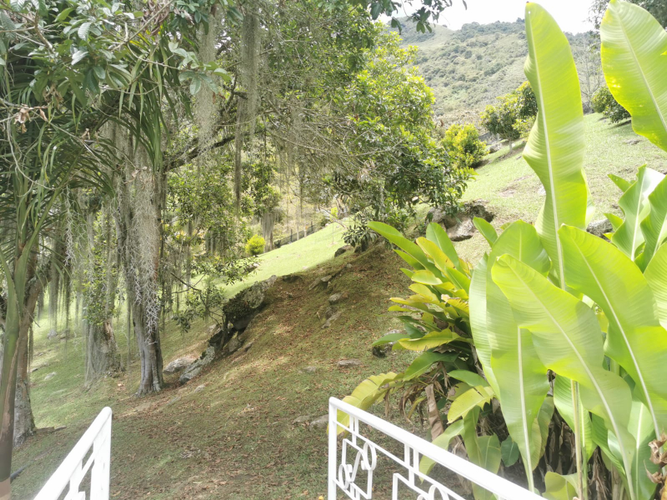 Finca en venta en Zarzal Curzao, Copacabana, 250 m² · foto 6 de 24