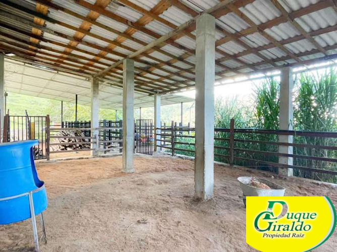 Finca en venta en Zarzal Curzao, Copacabana, 250 m² · foto 7 de 24