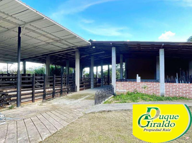 Finca en venta en Zarzal Curzao, Copacabana, 250 m² · foto 9 de 24