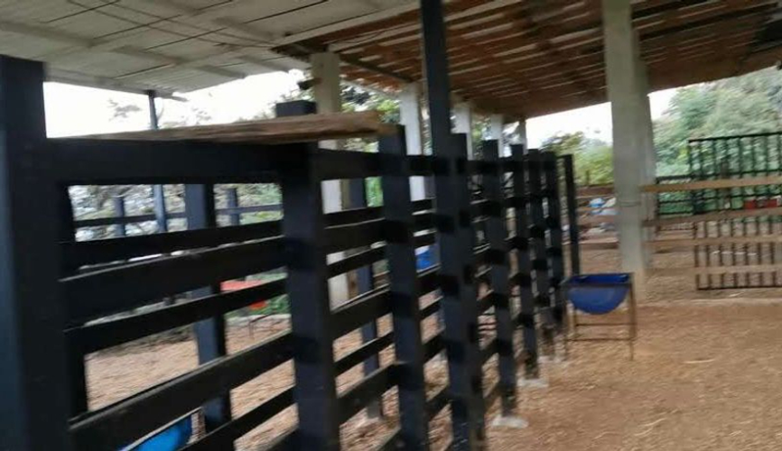 Finca en venta en Zarzal Curzao, Copacabana, 250 m² · foto 15 de 24