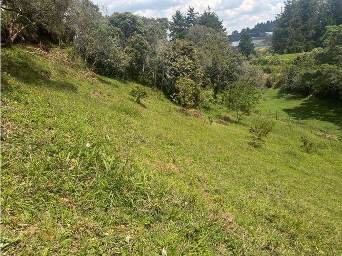 Lote en venta en La Mosquita, Rionegro, 8828 m² · foto 12 de 12