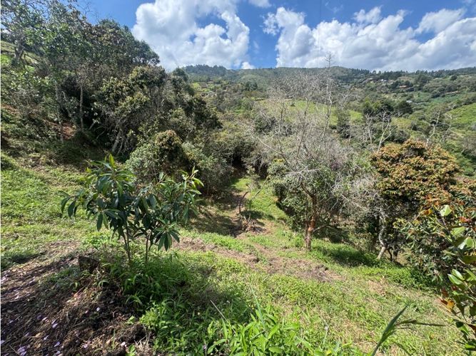 Lote en venta en La Mosquita, Guarne, 4840 m² · foto 15 de 16