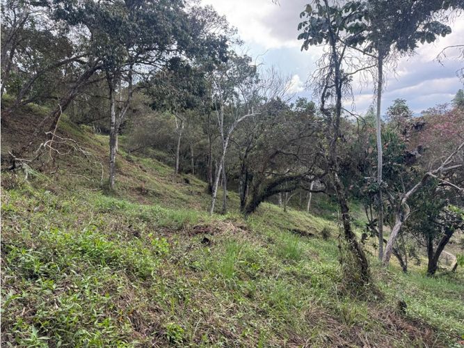 Lote en venta en El Carmen De Viboral, El Carmen de Viboral, 3519 m² · foto 6 de 10