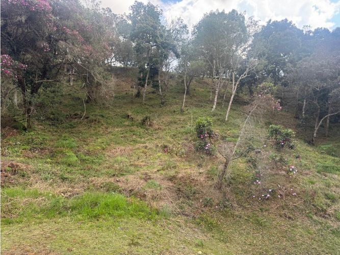 Lote en venta en El Carmen De Viboral, El Carmen de Viboral, 3519 m² · foto 7 de 10