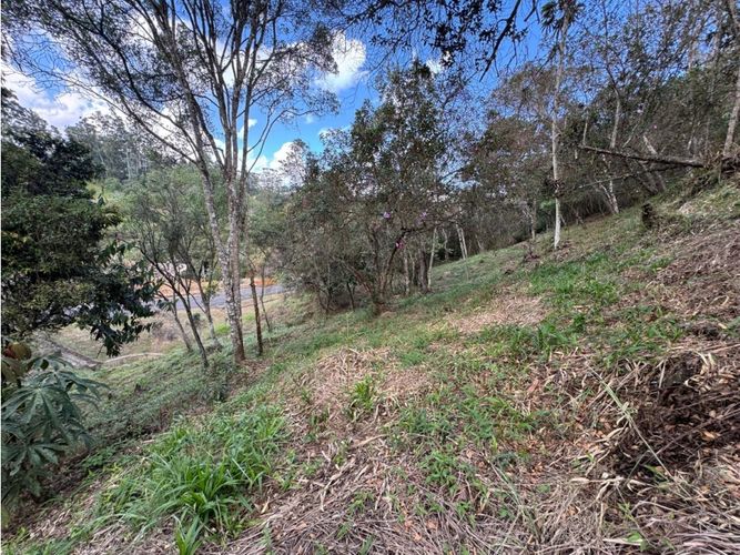 Lote en venta en El Carmen De Viboral, El Carmen de Viboral, 3519 m² · foto 8 de 10