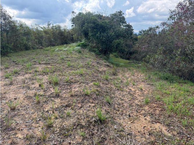 Lote en venta en El Carmen De Viboral, El Carmen de Viboral, 3519 m² · foto 10 de 10