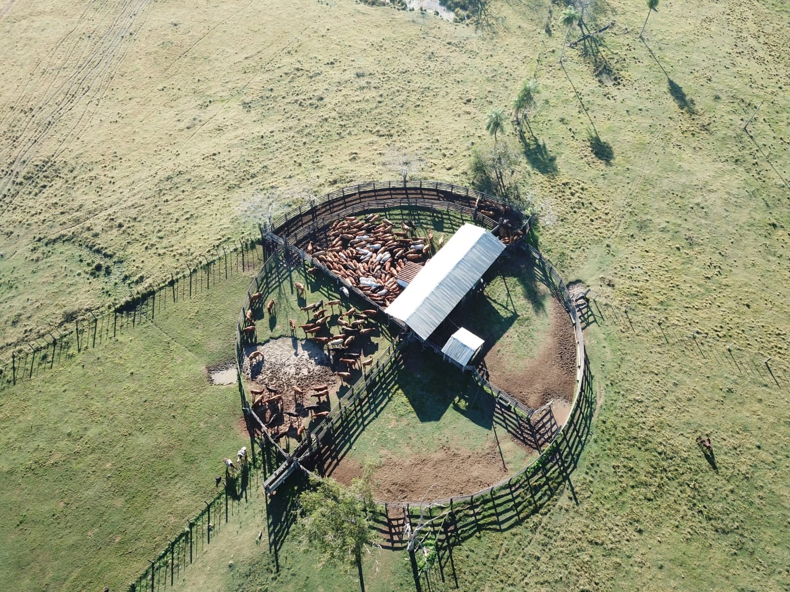 Exclusiva Estancia en Itacurubí del Rosario: Un Paraíso a Solo 230 km de Asunción — foto 3