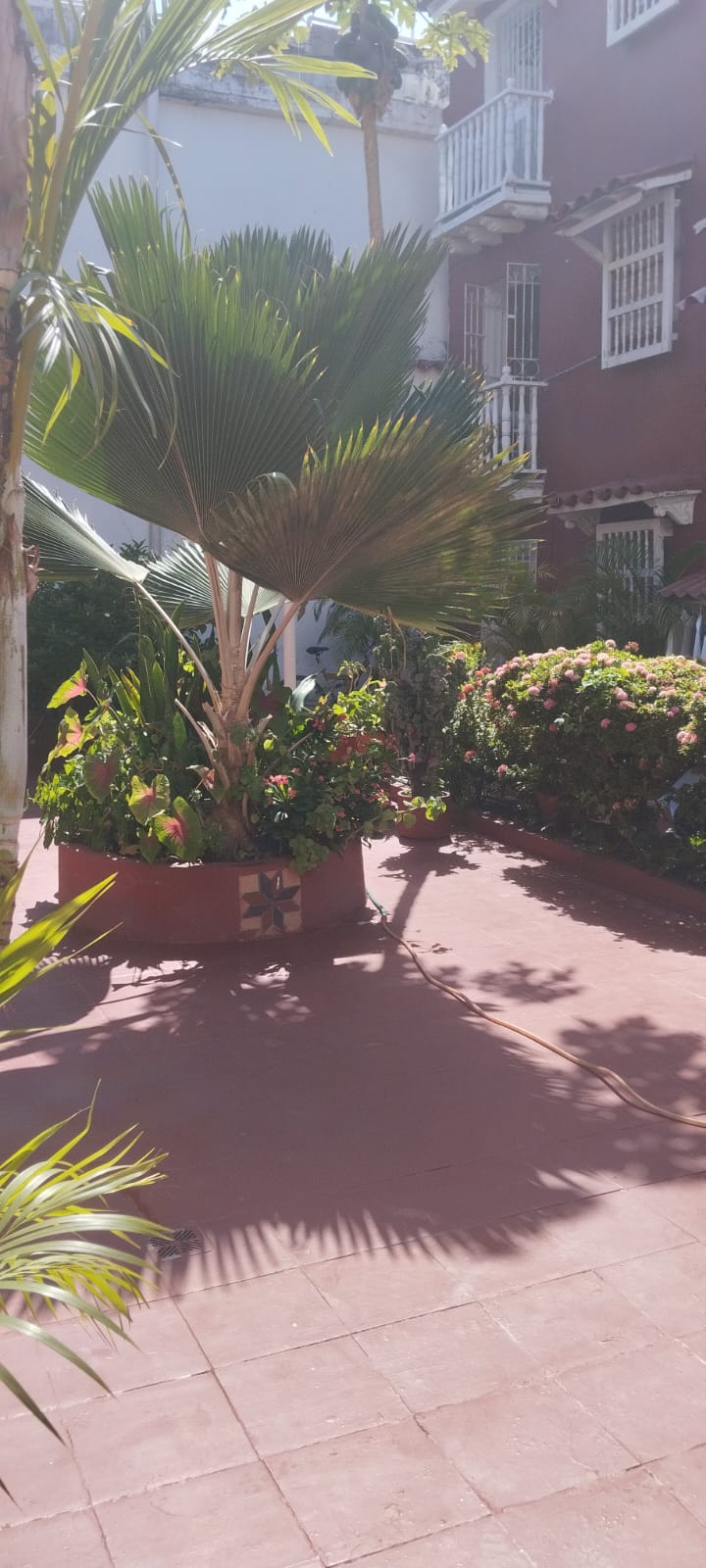 Apartamento en venta en El Centro, Cartagena · foto 7 de 8