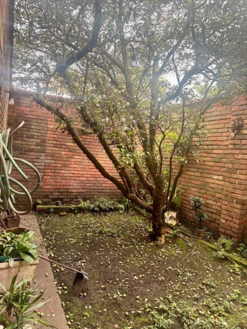 Casa en venta en San Felipe, Bogotá · foto 11 de 24