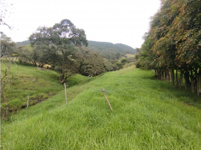 Lote en venta en La Toma, La Calera, 8730 m² · foto 11 de 17