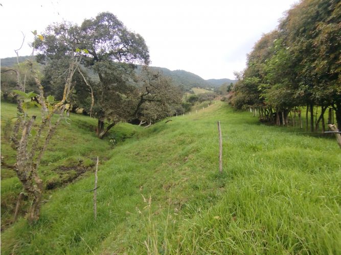 Lote en venta en La Toma, La Calera, 8730 m² · foto 12 de 17