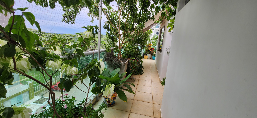 Apartamento en venta en Monteverde, Montería · foto 5 de 14