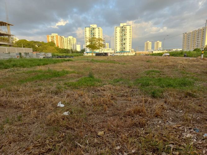 Lote en venta en California, Montería, 1558 m² · foto 8 de 9