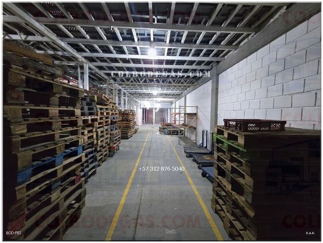Bodega en venta en Los Guaduales, Dosquebradas, 2800 m² · foto 6 de 19