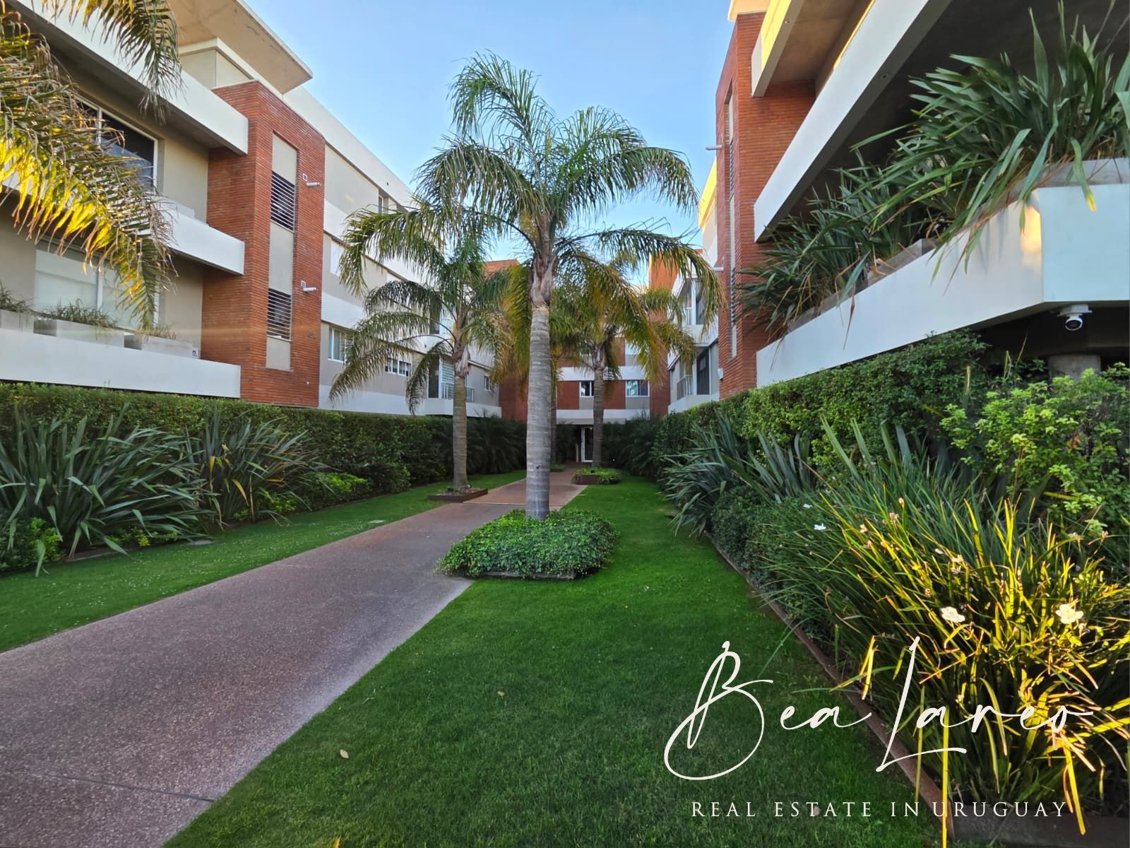 Apartamento en Alquiler en Carrasco Norte