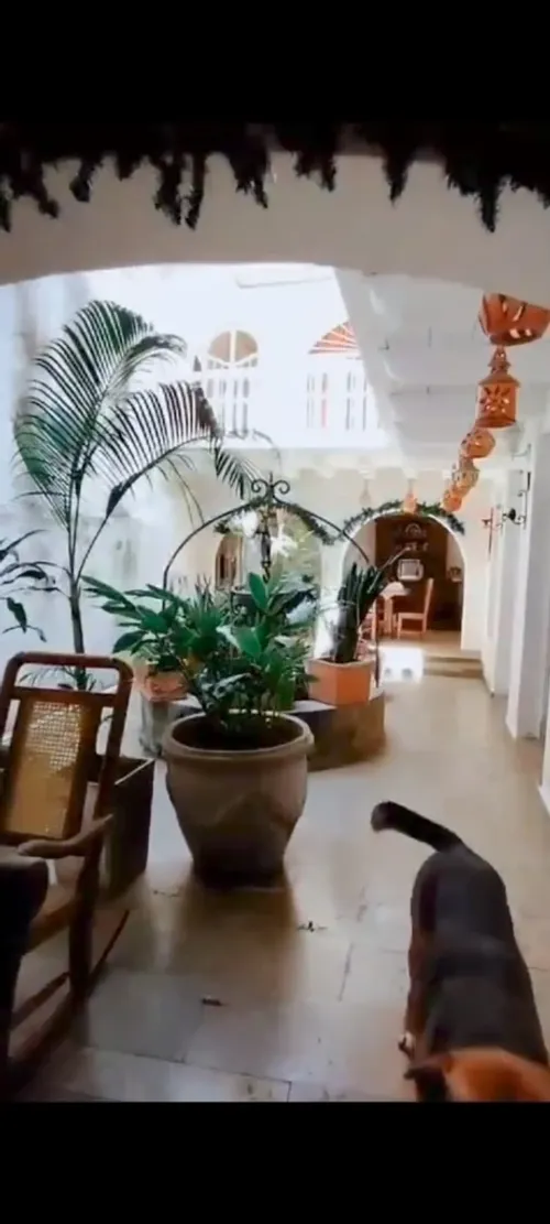 Casa en venta en El Centro, Cartagena · foto 2 de 24