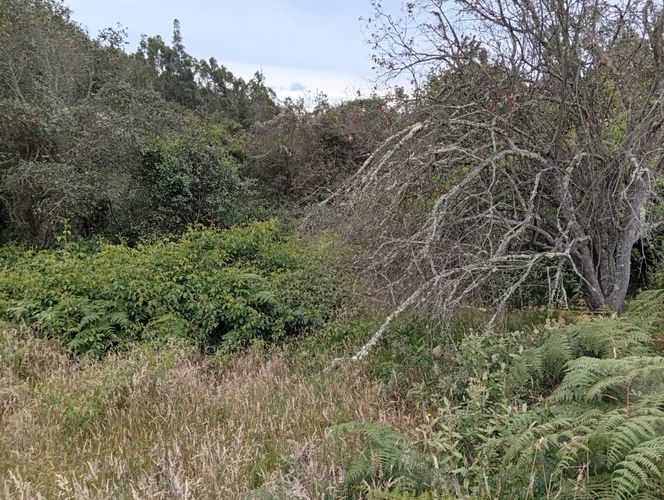 Lote en venta en Centro Tocancipá, Tocancipá, 7000 m² · foto 3 de 7