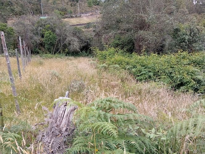 Lote en venta en Centro Tocancipá, Tocancipá, 7000 m² · foto 4 de 7