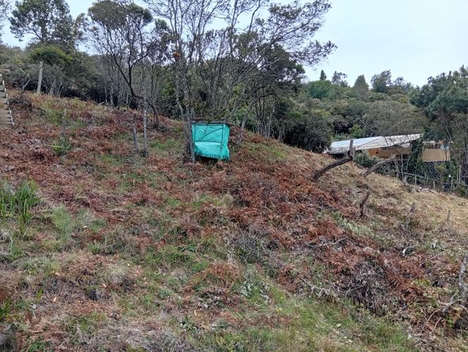 Lote en venta en Centro Tocancipá, Tocancipá, 7000 m² · foto 5 de 7