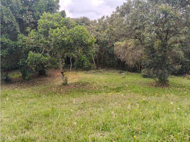 Lote en venta en Vía Las Palmas, Medellín, 6948 m² · foto 11 de 18
