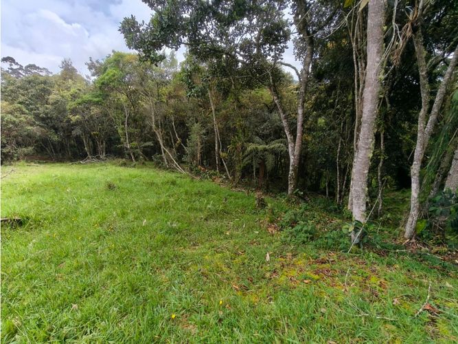 Lote en venta en Vía Las Palmas, Medellín, 6948 m² · foto 12 de 18