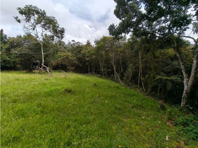 Lote en venta en Vía Las Palmas, Medellín, 6948 m² · foto 13 de 18