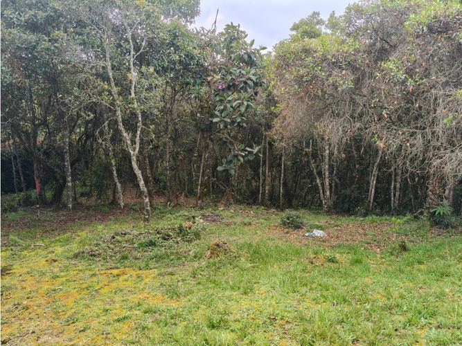 Lote en venta en Vía Las Palmas, Medellín, 6948 m² · foto 14 de 18