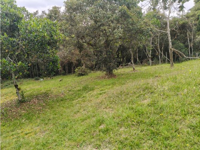 Lote en venta en Vía Las Palmas, Medellín, 6948 m² · foto 15 de 18