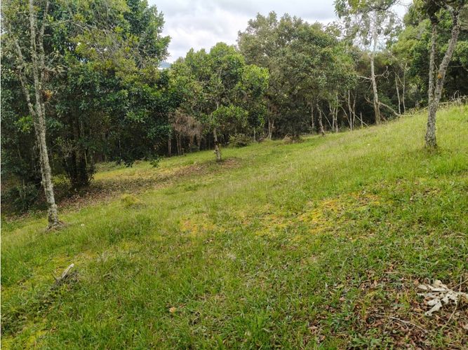 Lote en venta en Vía Las Palmas, Medellín, 6948 m² · foto 17 de 18