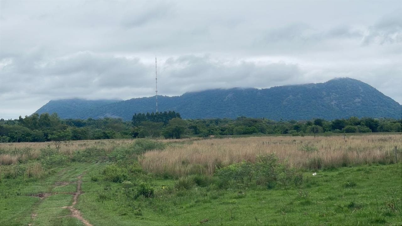 90 Hectáreas en Acahay - Ideal Inversión Ganadera y Agrícola con Arroyo Propio — foto 3