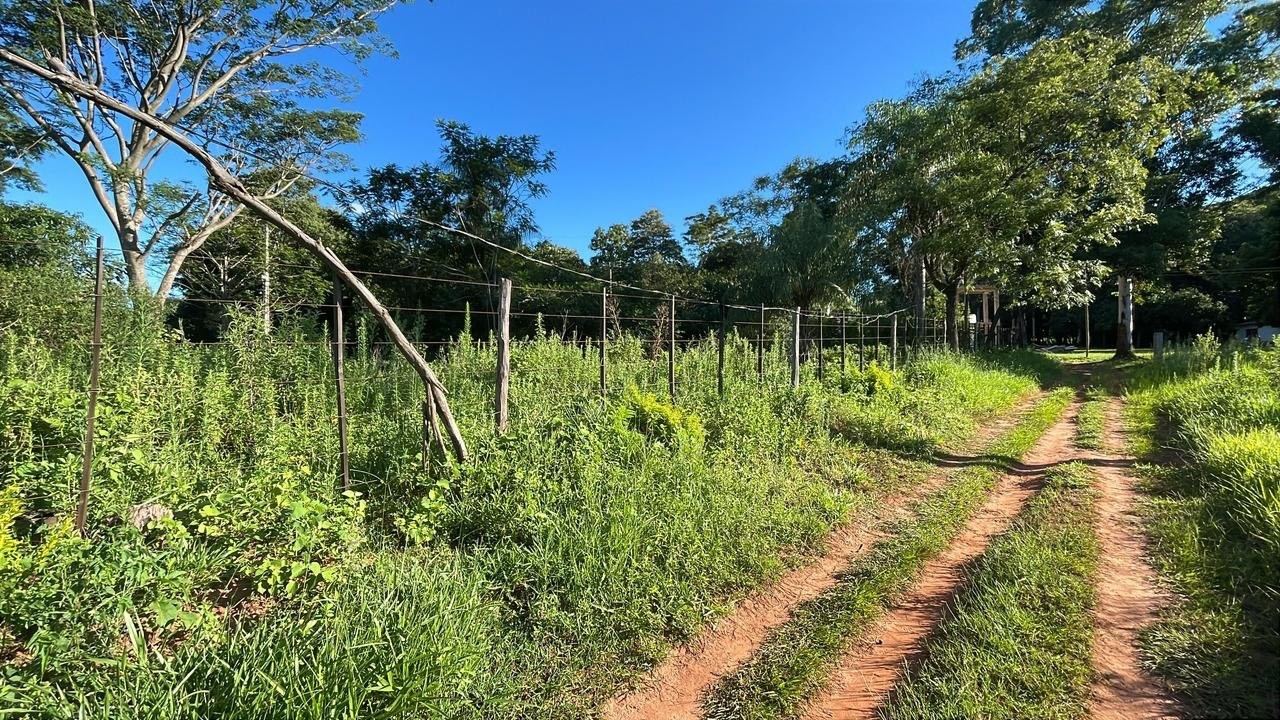 Quinta de 2,5 Hectáreas con Casa Funcional y Bosque Frutal en Acahay — foto 2