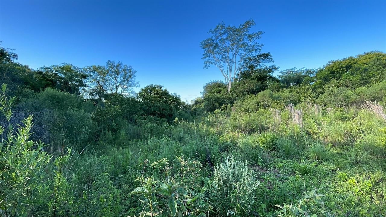 Quinta de 2,5 Hectáreas con Casa Funcional y Bosque Frutal en Acahay — foto 3