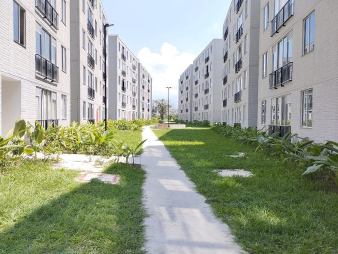 Apartamento de 3 alcobas en arriendo en Palmira, 46 m² · foto 7 de 20