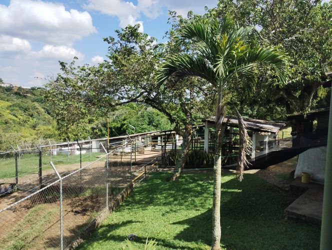 Casa de 4 alcobas en venta en Villacarmelo, Cali, 450 m² · foto 6 de 23