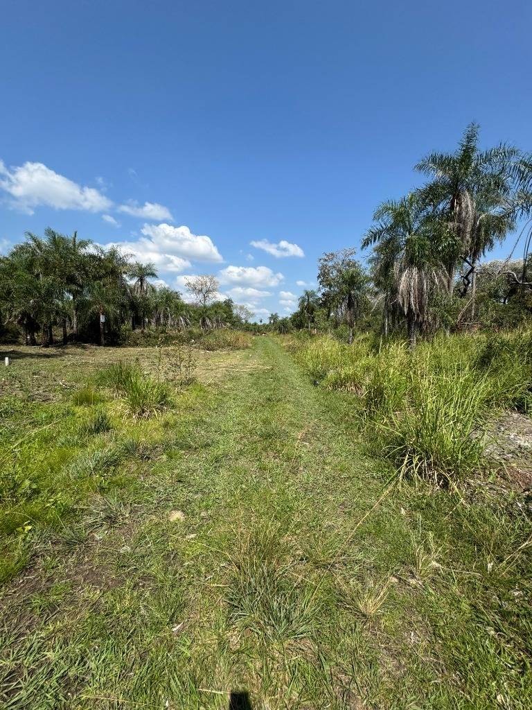 Vendo terreno 360 m2 en San Bernardino zona Ciervo Cua — foto 3