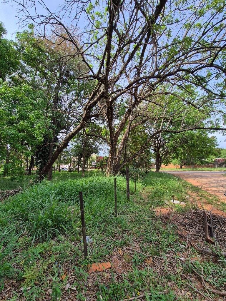 Vendo terreno en esquina de 4028 m2 en Mariano Roque Alonso z/ Avenida Traschaco — foto 3