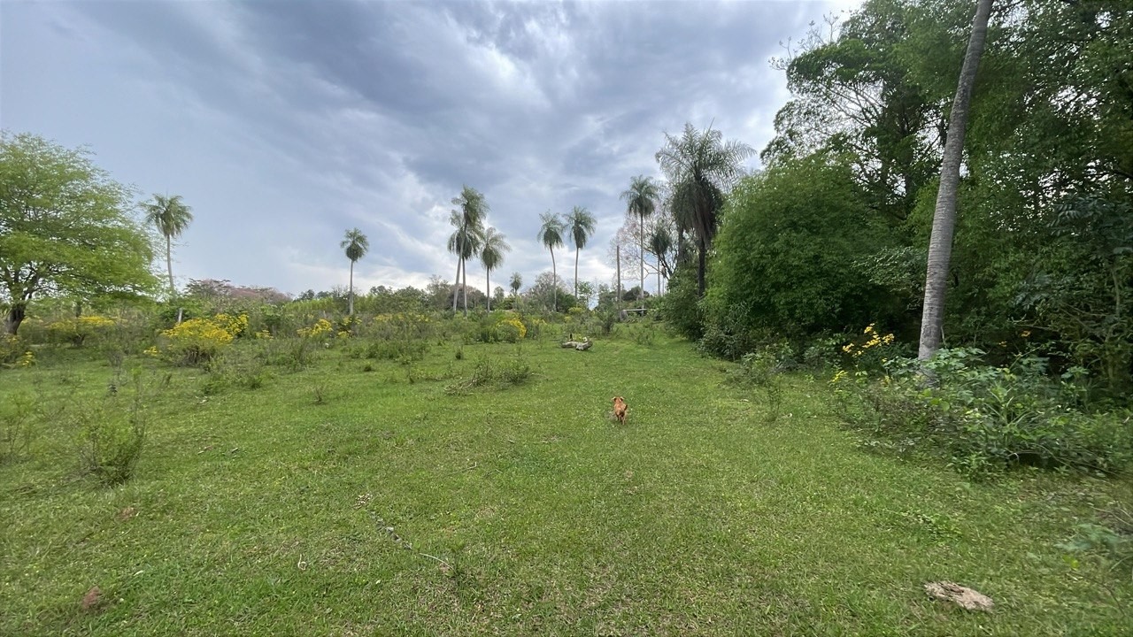 Fracción de 12 Hectáreas en Atyrá: Inversión Forestal y Paisajística con Arroyo — foto 3