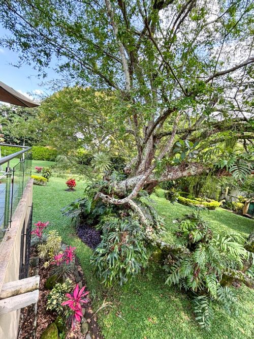 Casa de 4 alcobas en venta en Pance, Cali, 450 m² · foto 9 de 24