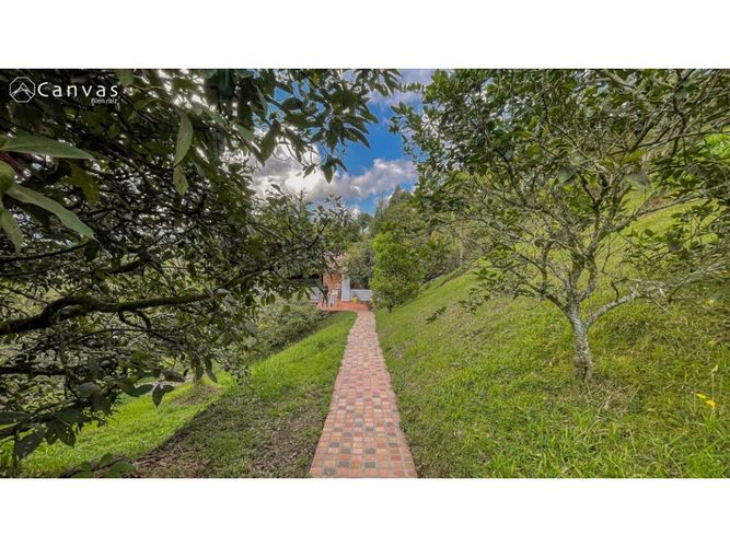 Finca en venta en La Mosquita, Rionegro, 310 m² · foto 11 de 21