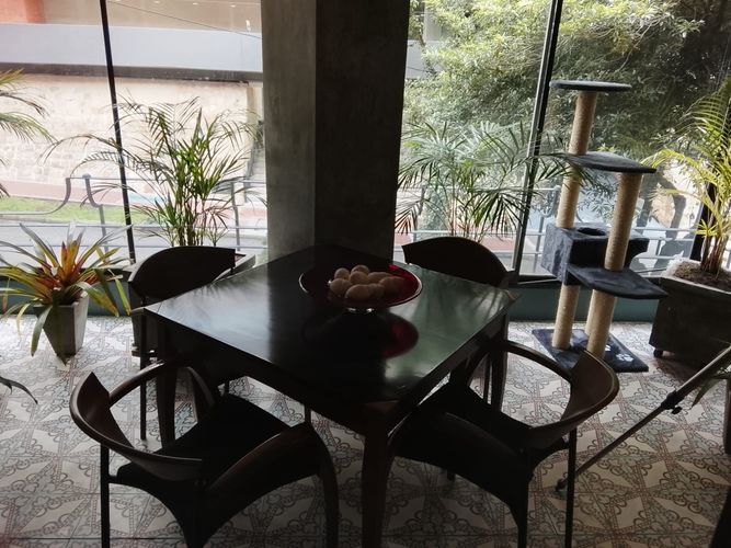 Apartamento de 3 alcobas en venta en El Refugio, Bogotá, 240 m² · foto 7 de 9