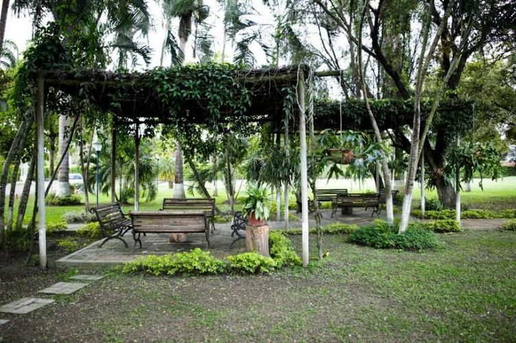 Finca en arriendo en La Torre, Palmira, 450 m² · foto 15 de 24