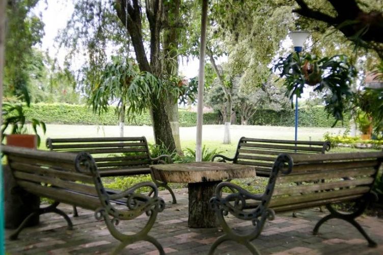 Finca en arriendo en La Torre, Palmira, 450 m² · foto 16 de 24