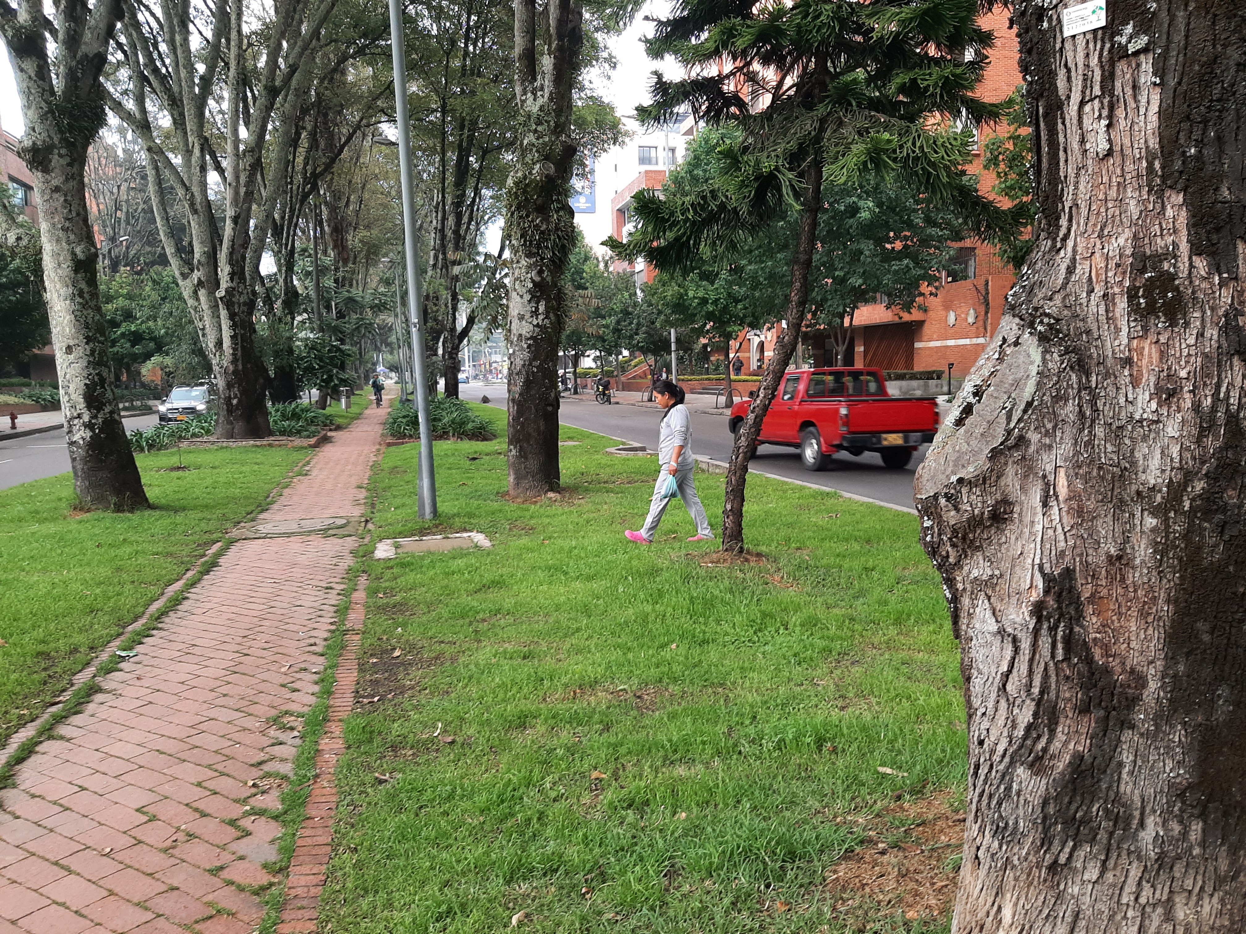 Apartamento en venta en El Chico, Bogotá · foto 3 de 21