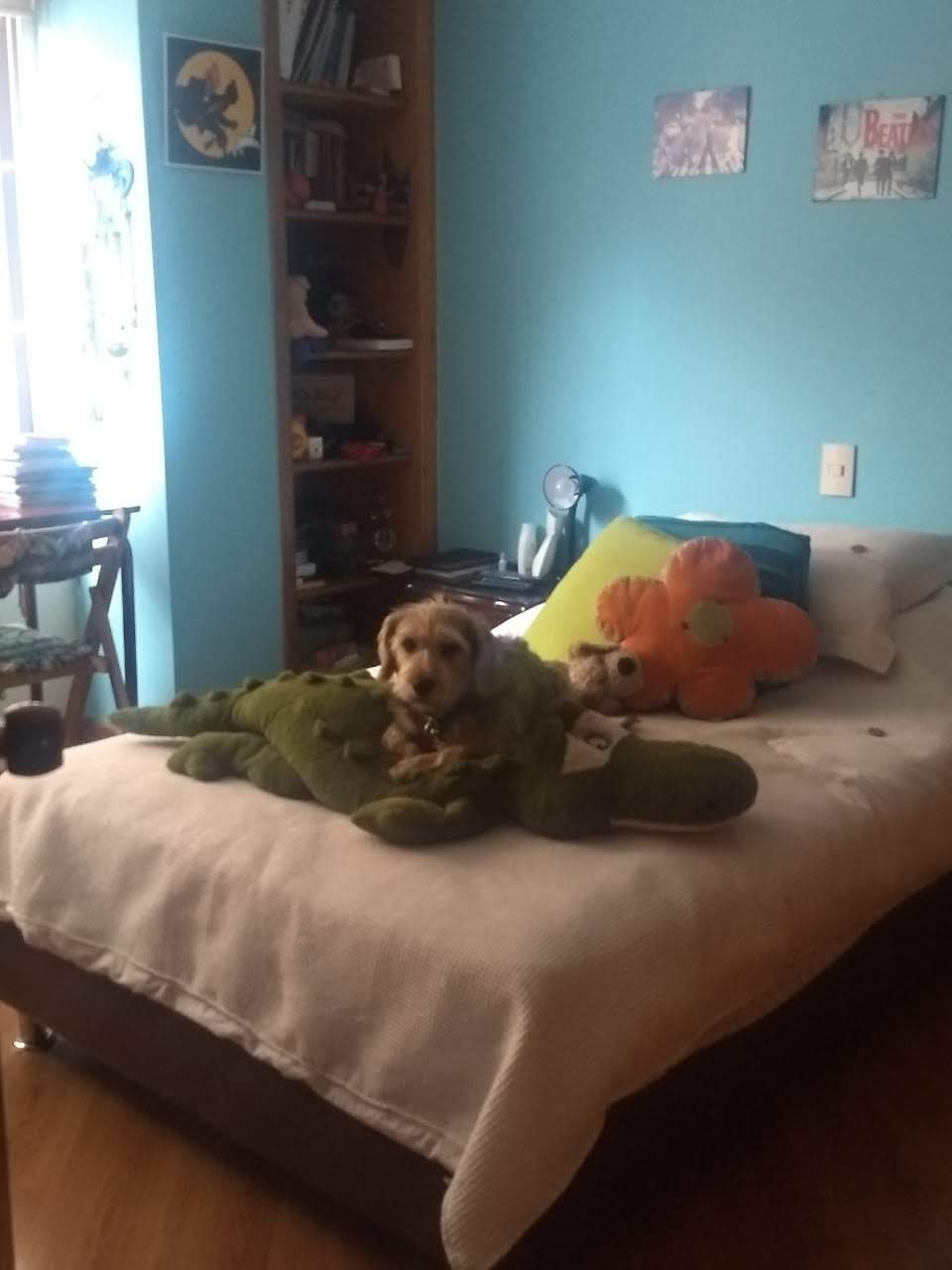Apartamento en venta en El Chico, Bogotá · foto 15 de 21
