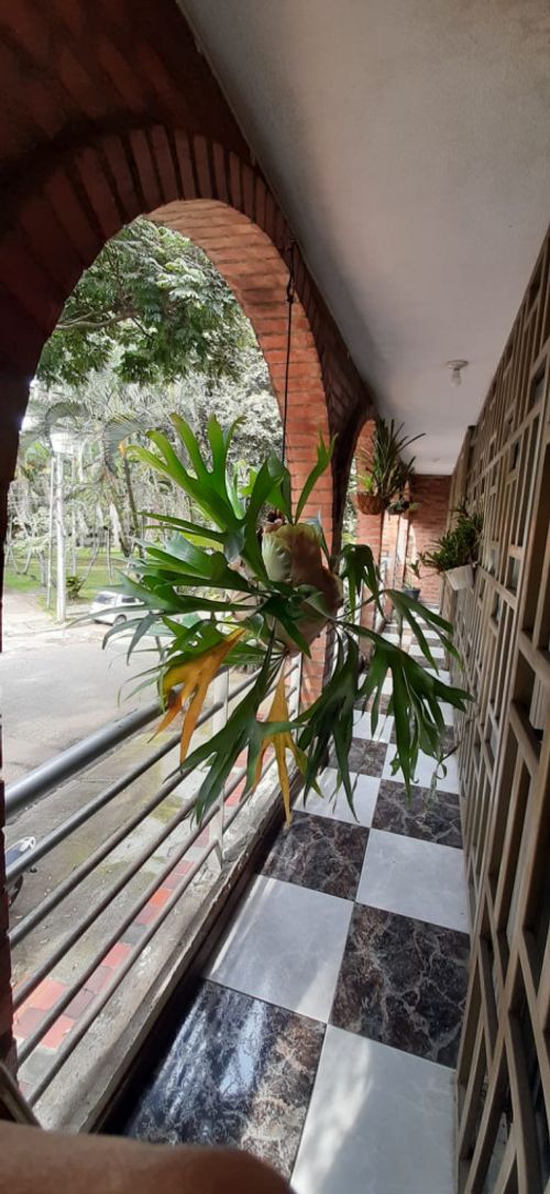Casa de 4 alcobas en venta en San Joaquin, Cali, 340 m² · foto 20 de 24