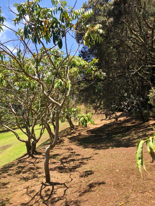 Lote en venta en San Jose De La Concepcion, La Calera, 7617 m² · foto 2 de 9